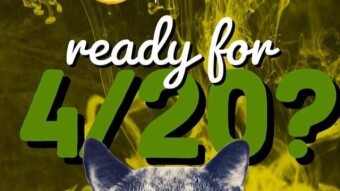 Stellar CannaCoin: The Future of Cannabis Currency