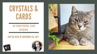 Crystals & Cards | Oracle Card Reading | For The Week of November 28, 2021