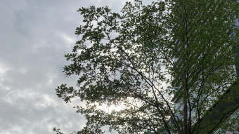 El sol empieza tímidamente la mañana