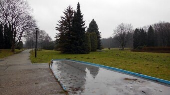 Nasty, cold and rainy, unfavorable conditions for a walk - My Actifit Report Card: February 1 2024