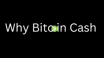 Why Bitcoin Cash is A Great Option for Everyday Transactions