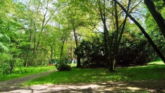 And finally, beautiful warm weather - summer - My Actifit Report Card: May 31 2025