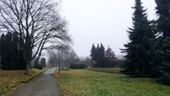 Saturday unchanged - in the fog, no sun - My Actifit Report Card: December 20, 2025