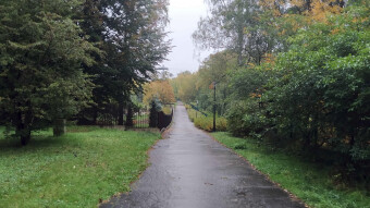 Return of grey weather with rain and cold