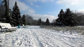 The cold winter has returned, but there was also some sunshine - My Actifit Report Card: February 16, 2026
