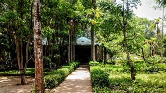 Củ Chi tunnels 2