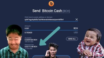 A 15 Dollar Transaction Fee For Sending Bitcoin Cash!? 🤯