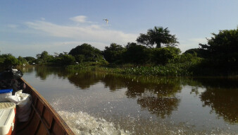 In nature / En la naturaleza