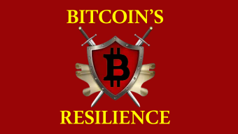 Bitcoin's resilience beyond doubt