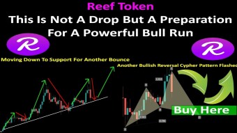 Reef Token | This Is Not A Drop But A Preparation For A Powerful Bull Run