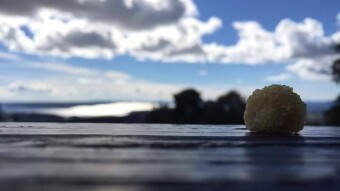 Photography challenge - Day 1