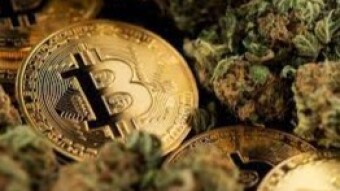 Why Buy Cannabis With Cryptocurrencies?