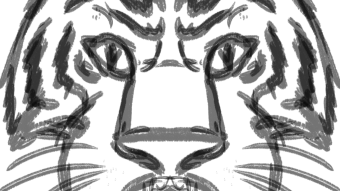 Sketches: Big Predator Cats
