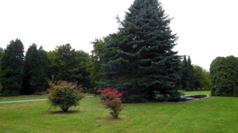 Slowly, calmly, autumn, walking - My Actifit Report Card: September 01 2023