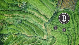 Are You Growing Your BTC Garden?