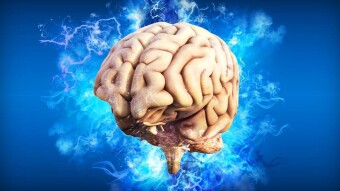 3 Powerful Books to Strengthen Your Mental Stamina
