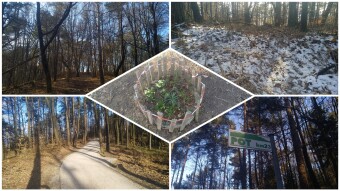 Golovec trails