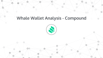 Whale Wallet Analysis - COMP