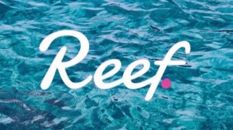 Reef Finance has launched the Reefchain testnet