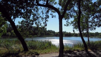 Beautiful Saturday and the return of the heat - My Actifit Report Card: July 6 2024