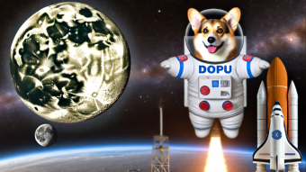 Meme Coins like DOPU on XDC Network have 4x the Investment in 1 month.