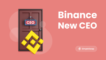 Who Replaced Changpeng Zhao as the Head of Binance?