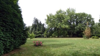 Stuffy, sultry, hot, but a delightful wind from time to time - My Actifit Report Card: June 30 2024
