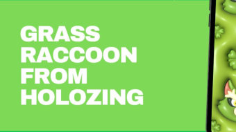 Wallpapers with Grass Raccoon from Holozing [ENG/ESP]