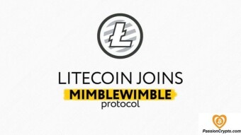 Concerns About Litecoin's MimbleWimble Protocol Arises in the Litecoin Community
