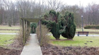 Gusty wind, snow, sun rays - dynamic Sunday - My Actifit Report Card: March 5 2023