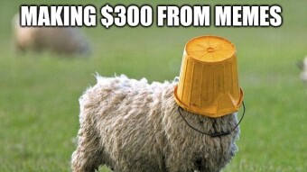 School boy error: A guide on how to lose $300 BUSD