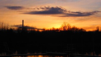 Another beautiful January day, hard to believe it's the middle of winter - My Actifit Report Card: January 17 2023