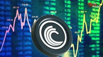 Whales Are Quietly Loading Up This Token — And It’s Still Crazy Cheap