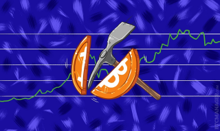 Halving: see which one will be next