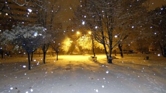 Winter has surprised road workers - My Actifit Report Card: November 22, 2024