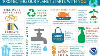 International Environment Day: Long live the crypto coins!!!