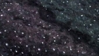 Unicorn Nebula