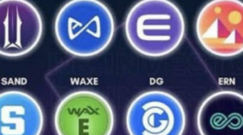 The METAVERSE, MANA, SAND, And AXIE INFINITY..