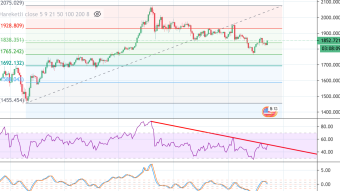 The Next Few Days Are Very Important For Gold