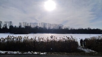 A wintry Friday, but very sunny - My Actifit Report Card: February 20, 2026