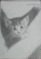 Little Cat Drawing