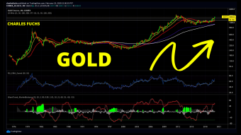 ❇️ GOLD: THIS IS WHAT A TRUE BULL MARKET LOOKS LIKE! 📈