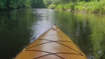 Kayaking in Roztocze – Discover the Magic of Tanew River with Majorka Roztocze