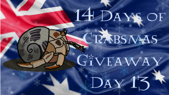 Free NFT Giveaway - 14 Days of Crabsmas - Day 13