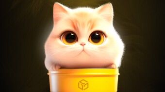 Gala Meow Coin