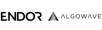 Using Endor Protocol and Algowave to Predict Future ERC20 Prices