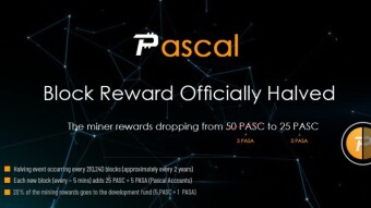 Pascal coin completes second block rewards halving; what now?