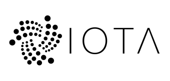 A Quick Review Of IOTA Project