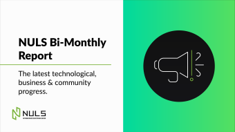 NULS Bi-Monthly Report — Second Half of December