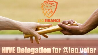 LEO Finance - My first delegation to @leo.voter